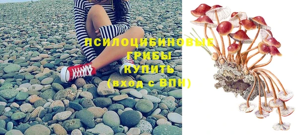 PSILOCYBIN Богородицк