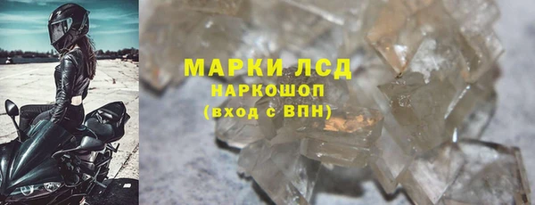 стаф Вяземский