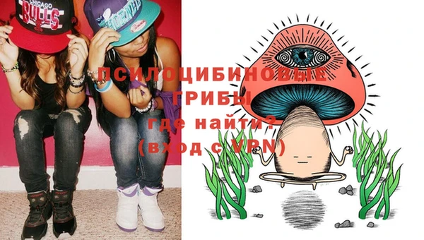 спайс Бородино