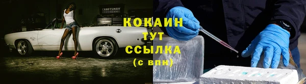 PSILOCYBIN Богородицк
