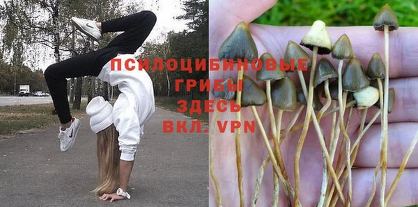 спайс Бородино