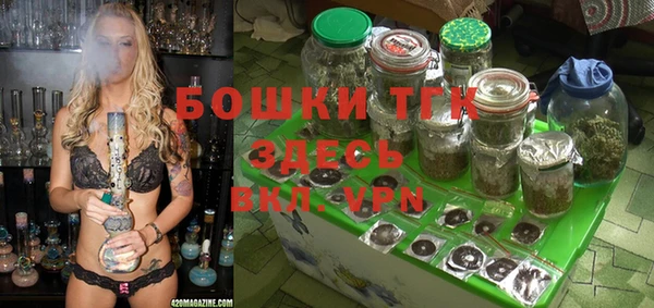 PSILOCYBIN Богородицк