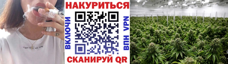 Каннабис планчик  продажа наркотиков  Междуреченск 